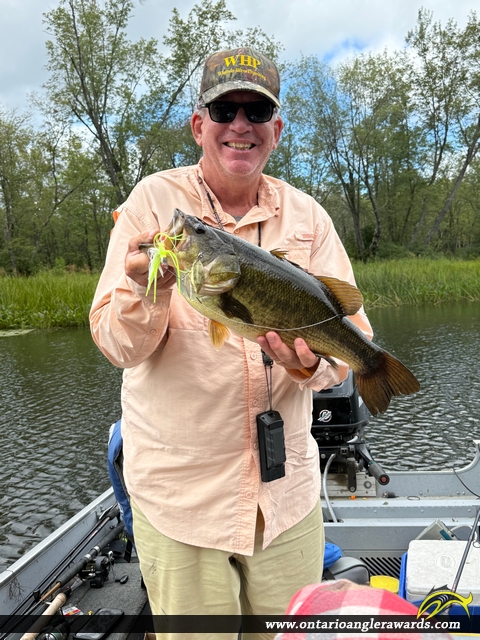 19.25" Largemouth Bass caught on York River