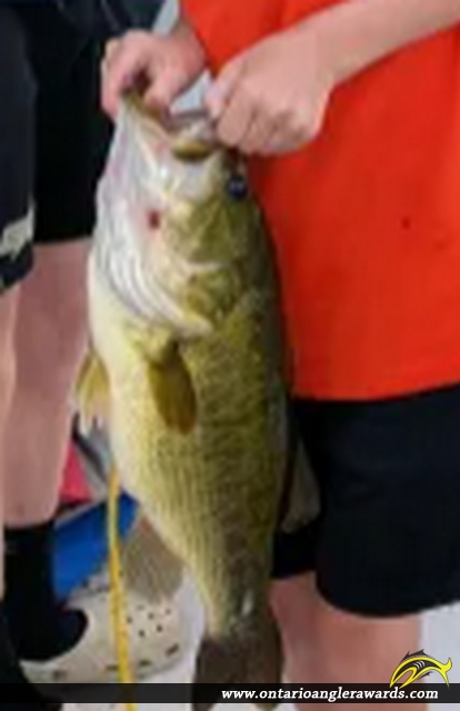 20.5" Largemouth Bass caught on Mephisto
