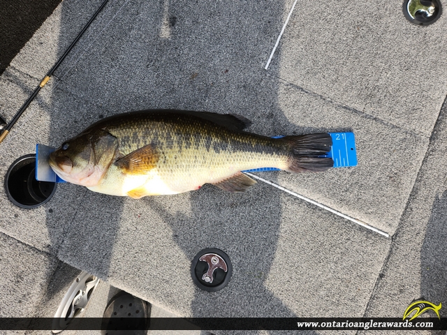 20" Largemouth Bass caught on Deception Lake