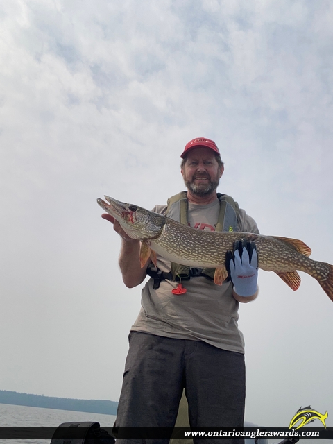 36" Northern Pike caught on Perrault Lake