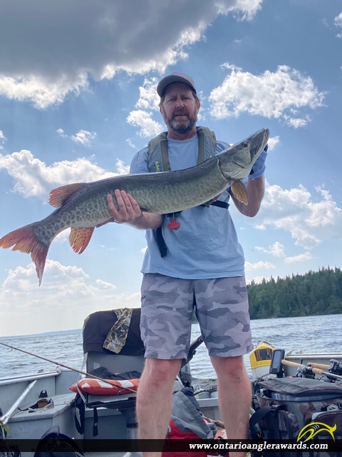 43" Muskie caught on Perrault Lake
