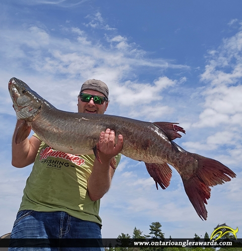51" Muskie caught on Lake of the Woods