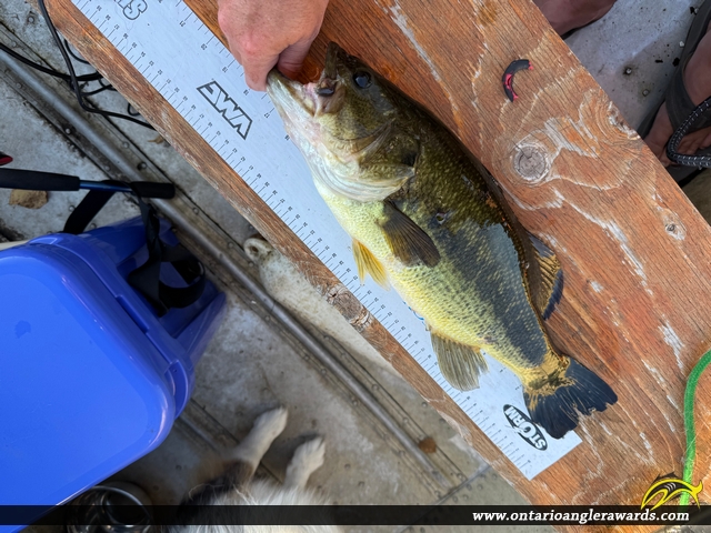 18" Largemouth Bass caught on Sandy Lake