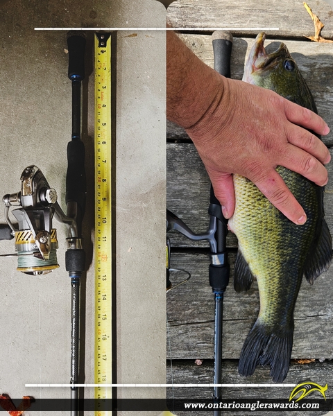 18.25" Largemouth Bass caught on Rabbit Lake