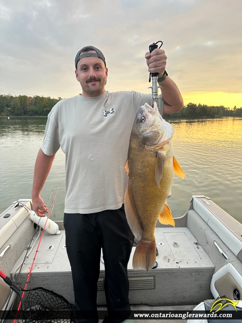 38" Whitefish caught on Lake Nipissing