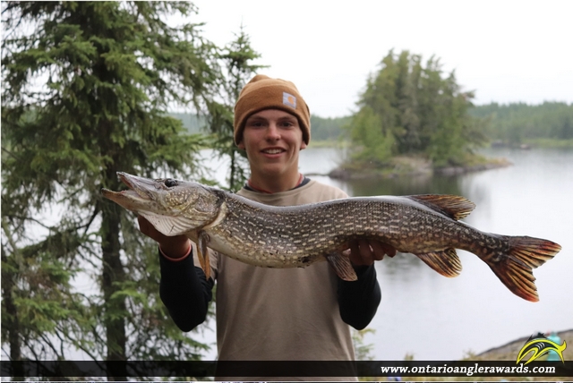 37" Northern Pike caught on Heathcote Lake