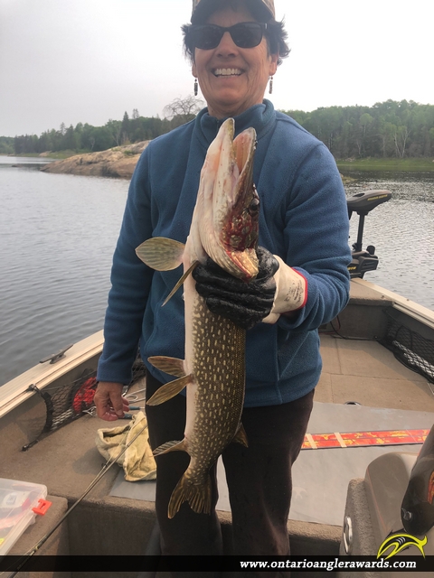 35" Northern Pike caught on Winnipeg River 