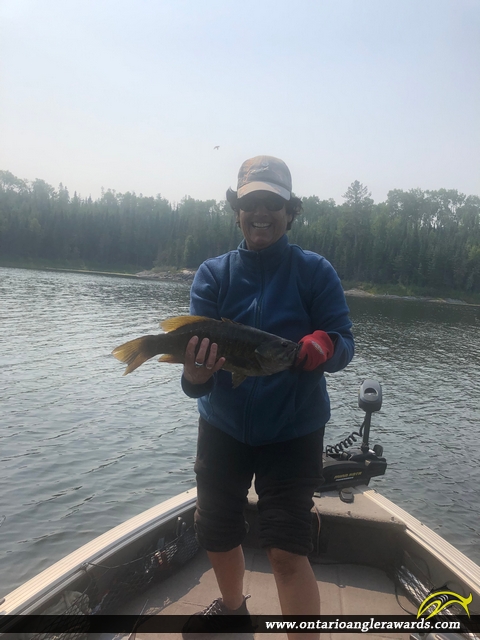 18.25" Smallmouth Bass caught on Winnipeg River 