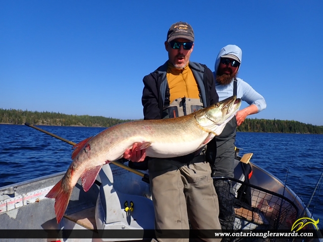 50" Muskie caught on Confusion Lake