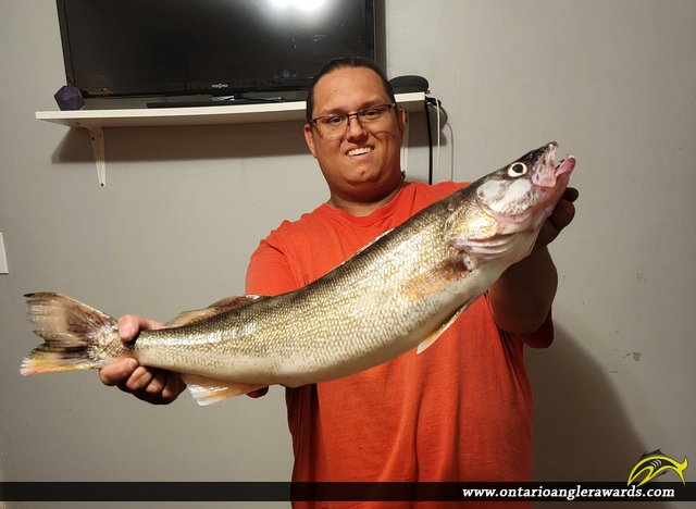 29.5" Walleye caught on Lake Erie