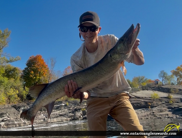 52" Muskie caught on Rideau River