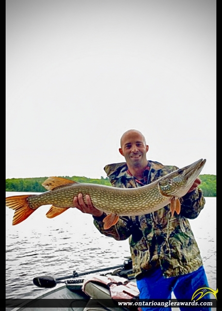 47" Northern Pike caught on Kecil Lake