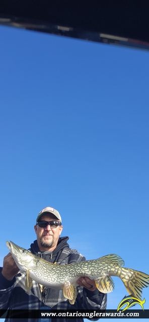 34" Northern Pike caught on Lake of the woods 