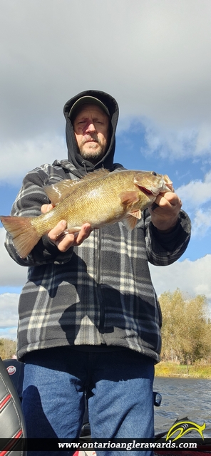 18.5" Smallmouth Bass caught on Rainy River