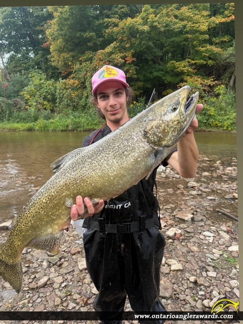 38" Chinook Salmon caught on Bronte Creek