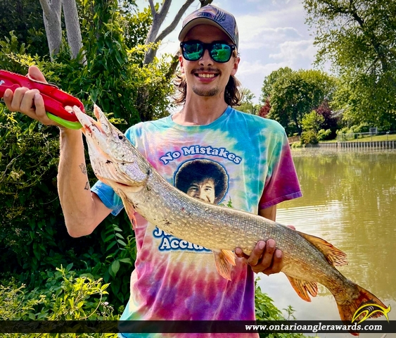 31" Northern Pike caught on Cedar Creek 