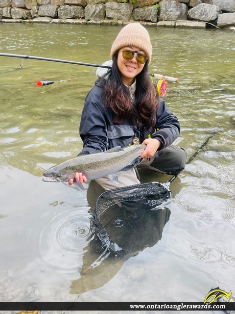 23.5" Rainbow Trout caught on Ganaraska River
