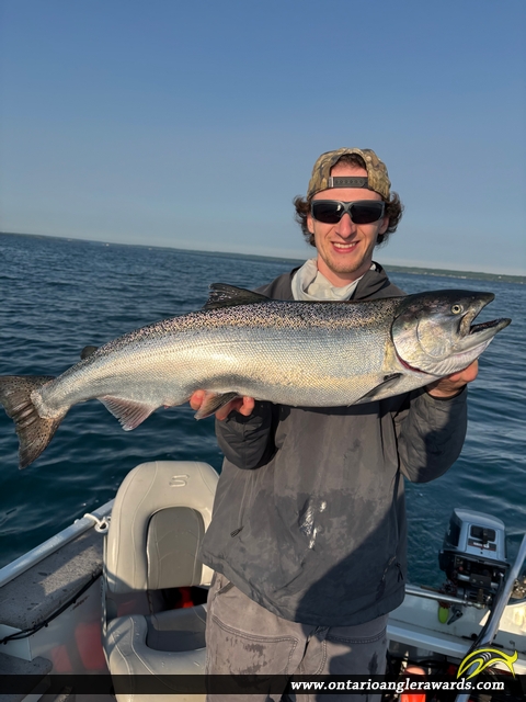 36" Chinook Salmon caught on Georgian Bay
