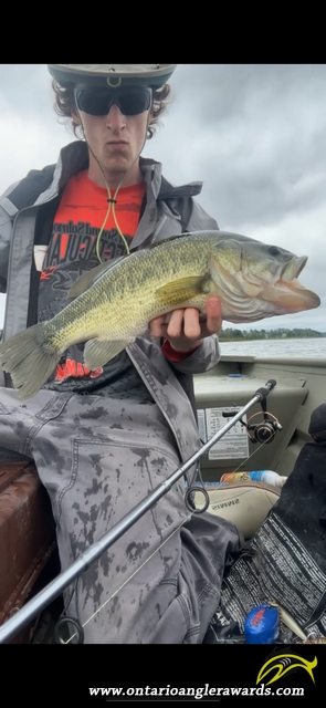 19.5" Largemouth Bass caught on Arron Lake