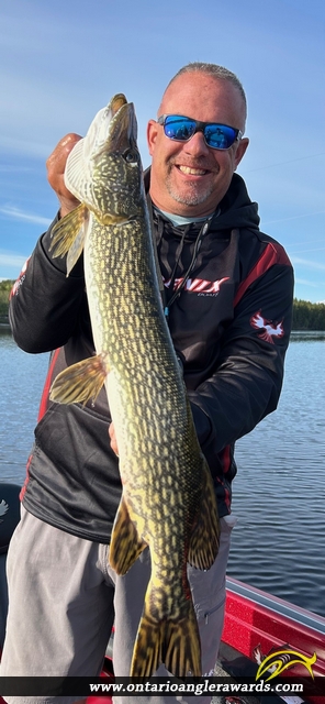 41" Northern Pike caught on Gull Rock Lake