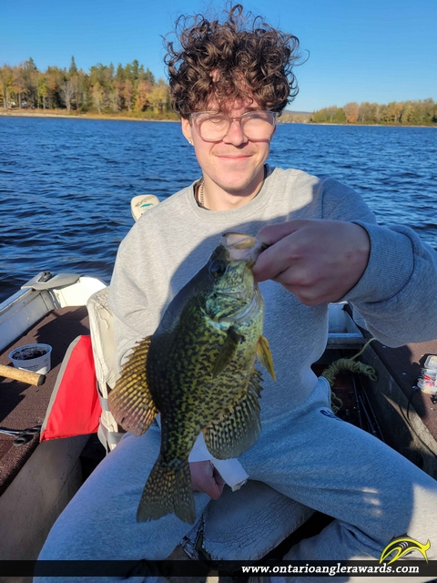 11.5" Black Crappie caught on Ottawa River