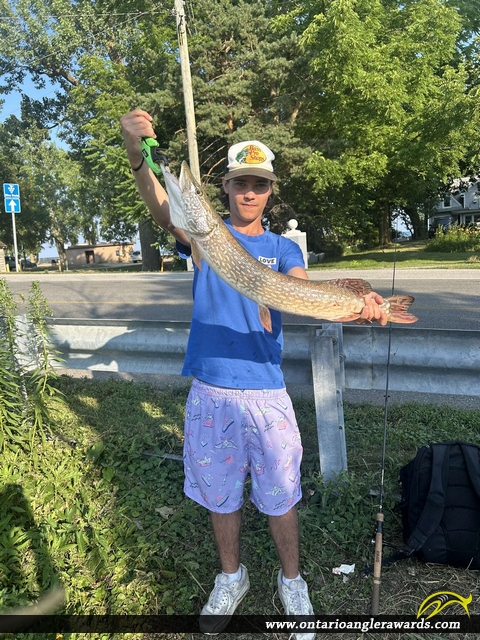 33" Northern Pike caught on Cedar Creek