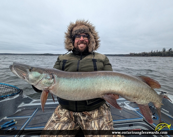 45" Muskie caught on Mianki 