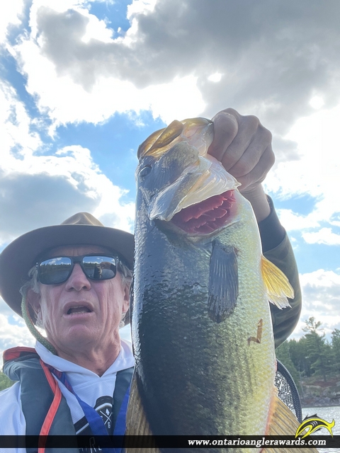 19.25" Largemouth Bass caught on Crooked Lake 