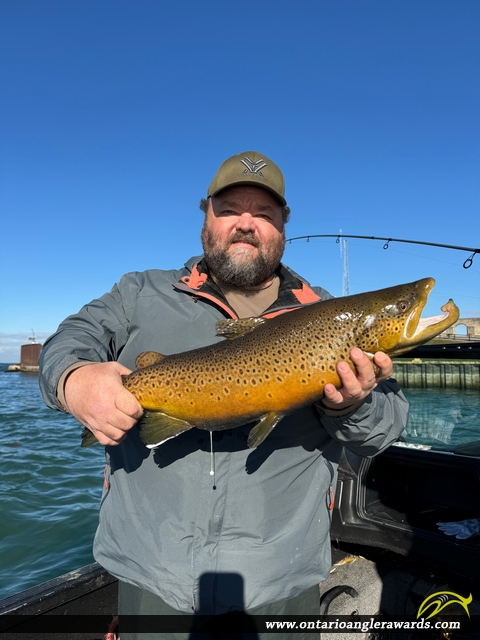 26" Brown Trout caught on Niagara River