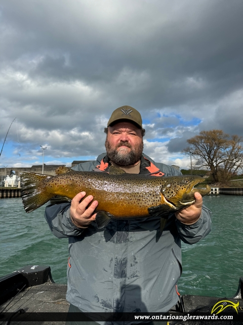 26.5" Brown Trout caught on Niagara River
