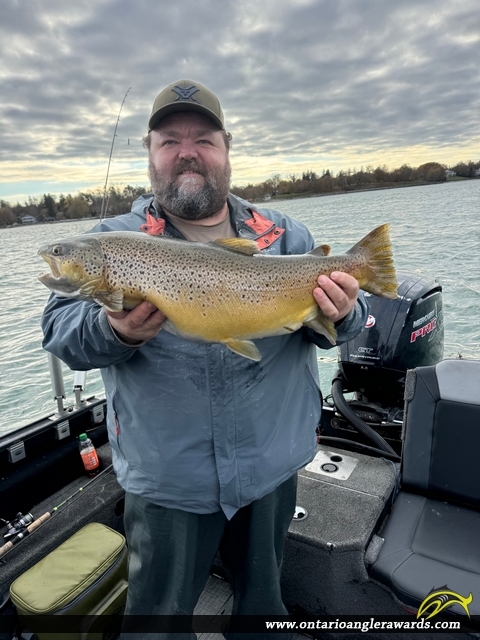 27" Brown Trout caught on Niagara River