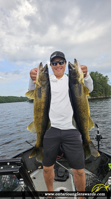 26.75" Walleye caught on Lake muskoka