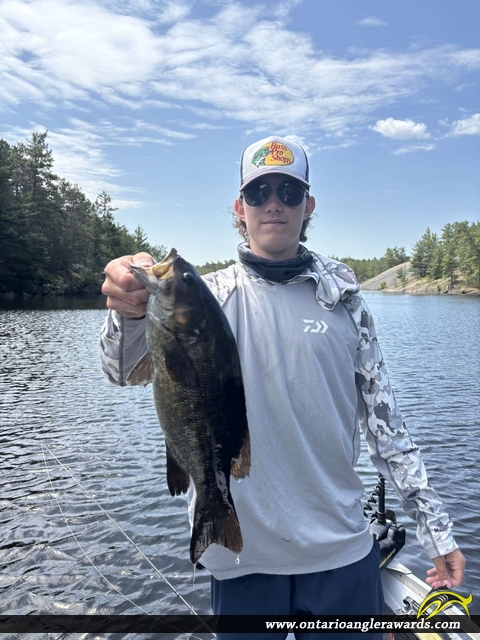 17.50" Smallmouth Bass caught on Lake Nipissing