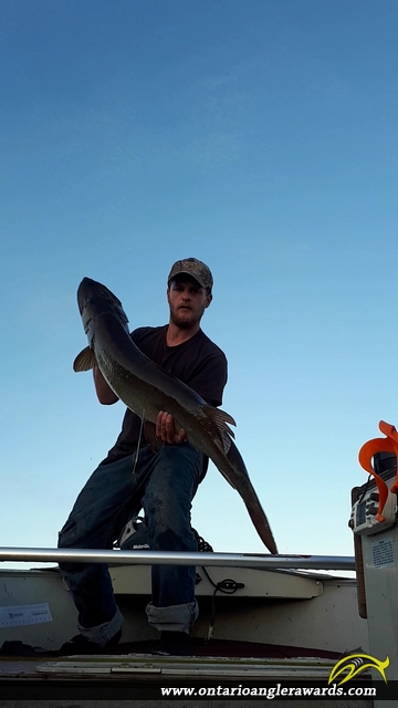50" Muskie caught on French River 