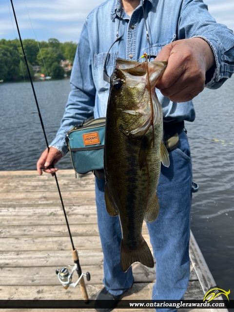 18" Largemouth Bass caught on Otter Lake