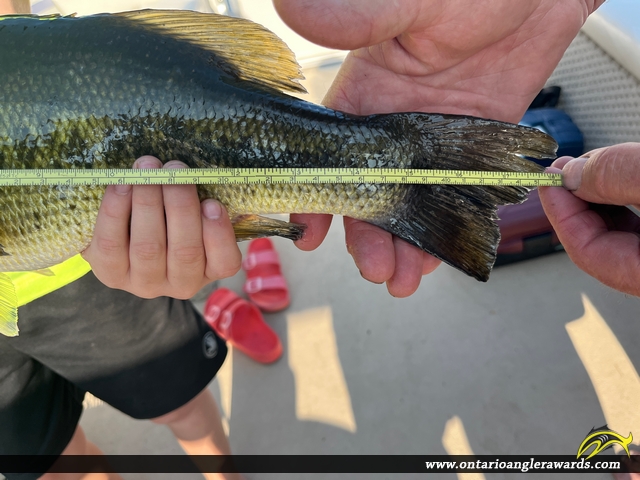 18" Largemouth Bass caught on McConnell Lake