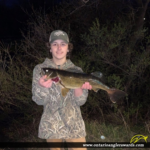 25.25" Walleye caught on Rideau River
