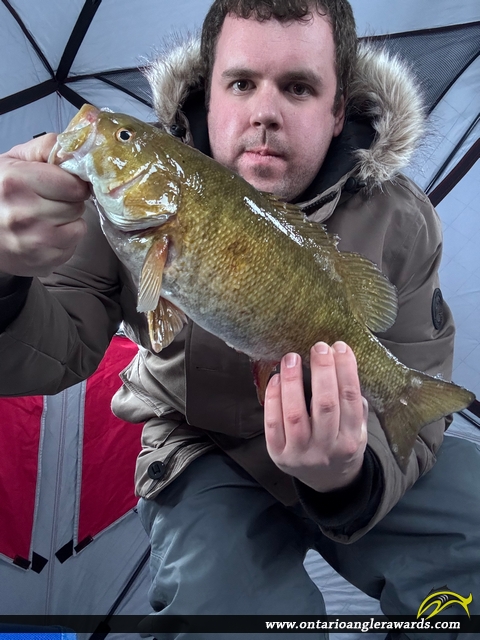 17" Smallmouth Bass caught on Lake Nipissing