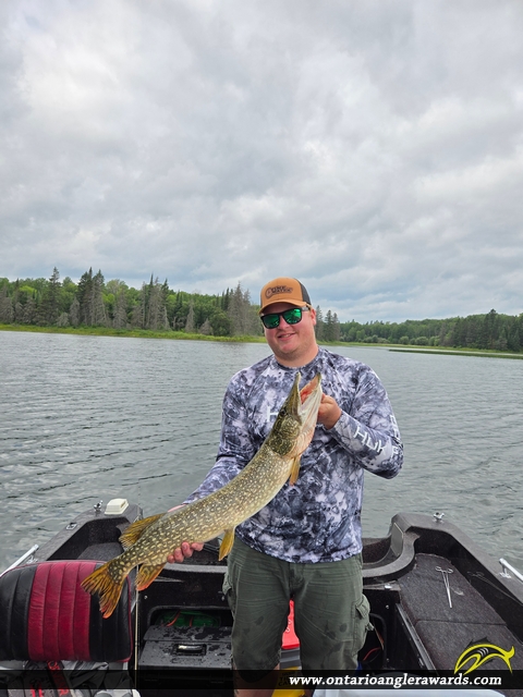 38" Northern Pike caught on Lake of the Woods