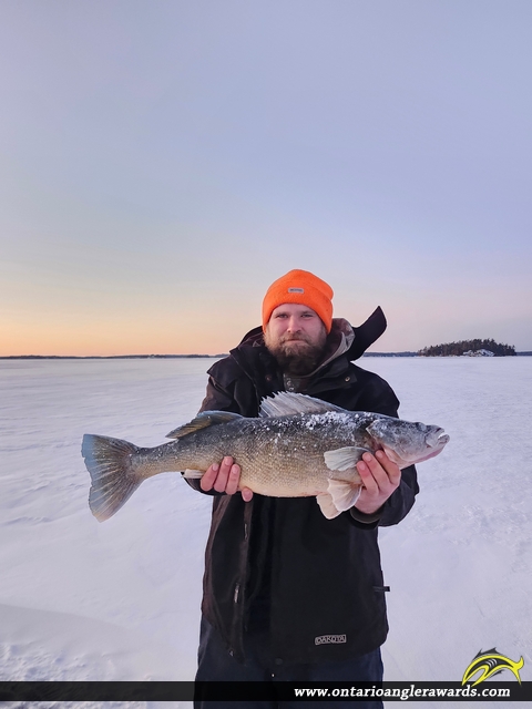 28.5" Walleye caught on Lake Muskoka