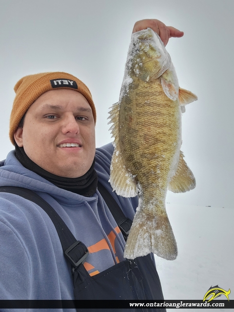 17.25" Smallmouth Bass caught on Lake Nipissing