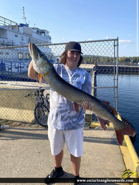 51" Muskie caught on Lake Nipissing