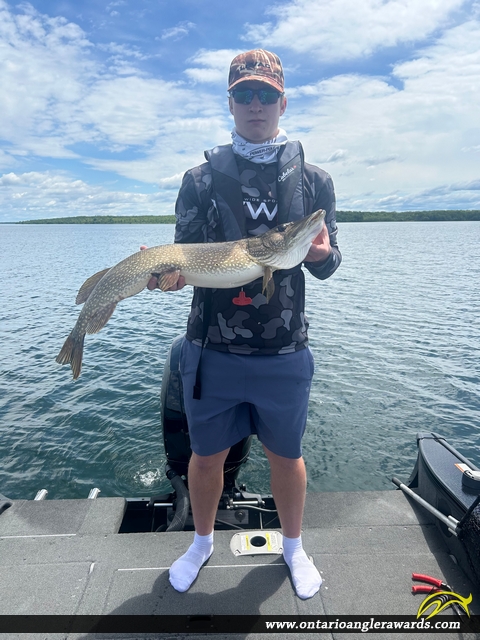 44" Northern Pike caught on St. Lawrence River 