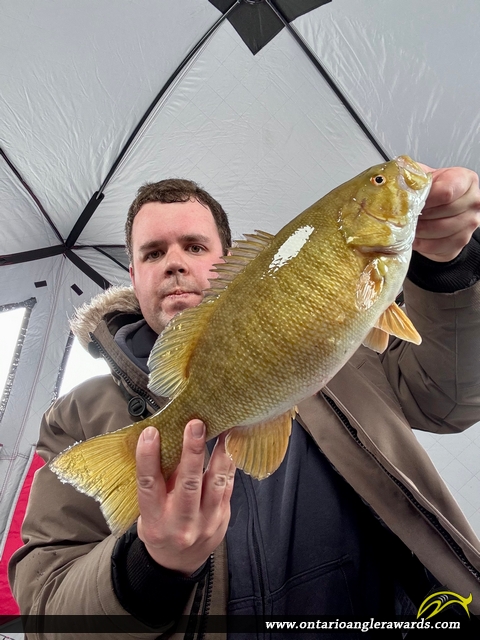 17.75" Smallmouth Bass caught on Lake Nipissing 