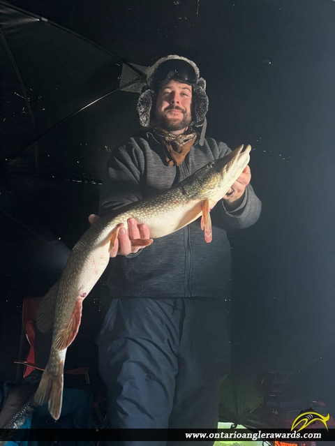 35.5" Northern Pike caught on Rondeau Bay