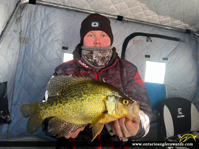 16" Black Crappie caught on Lake of the Woods