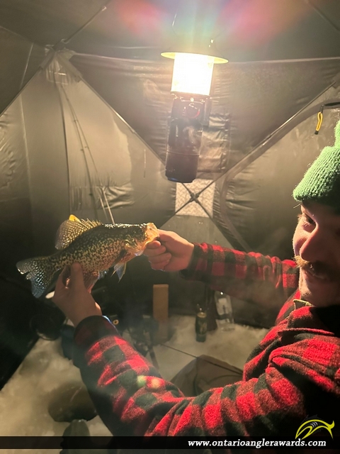 12" Black Crappie caught on Big Cedar Lake