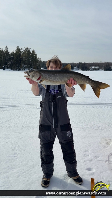 35" Lake Trout caught on Lake Joesph 