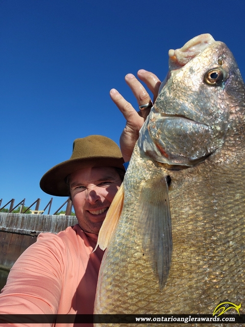 27.5" Whitefish caught on Bay of Quinte