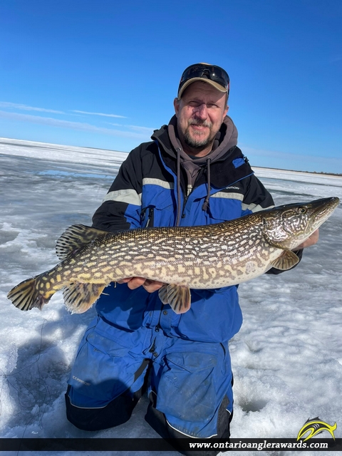 32" Northern Pike caught on Lake of the Woods